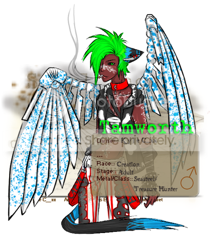 User Image